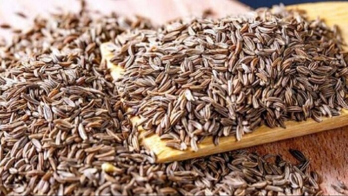 गुजरात में बंपर हुई जीरे की बुवाई. (सांकेतिक फोटो)