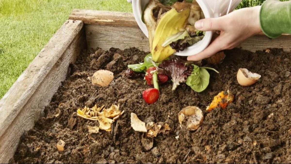 मिर्चलहसुन से भी होता है फसलों का बचाव, घर पर ऐसे बना सकते हैं खाद