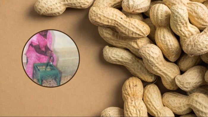 peanut cracking machine