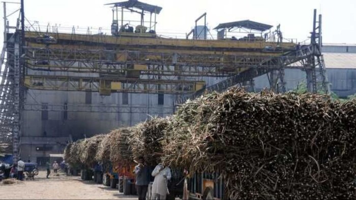 Sugarcane procurement