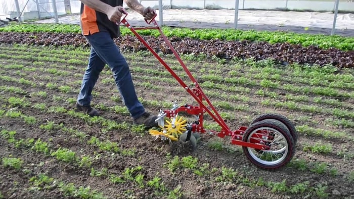 Wheel finger weeder Machine