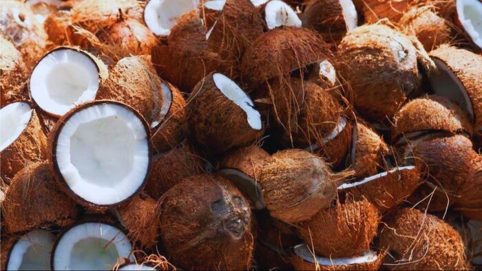 केंद्र सरकार ने नारिलय की MSP बढ़ाई