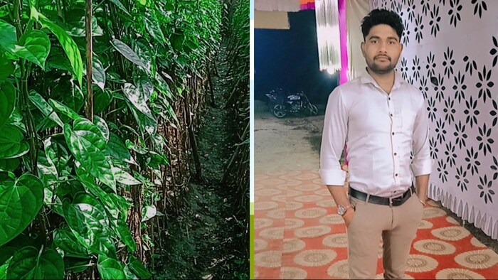पान की खेती करने वाले रायबरेली के प्रगतिशील युवा किसान भोलेंद्र चौरसिया.