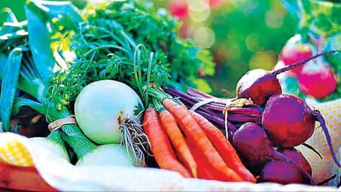 जनवरी के महीने में उगाएं ये पांच सब्जियां