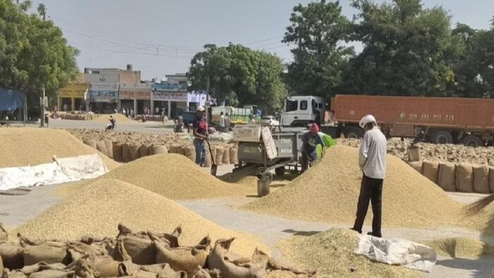 धान खरीदी में गिराट आई है. (सांकेतिक फोटो)