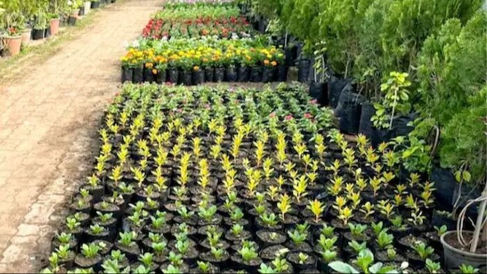 अयोध्या से 800 किलोमीटर दूर भोपाल के फूलों से सजेगी राम की नगरी