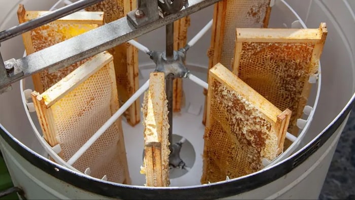 14 साल के बच्चे ने देसी जुगाड़ से बना दिया शहद निकालने की मशीन