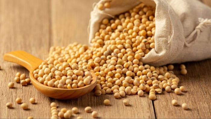 When to harvest and store soybeans