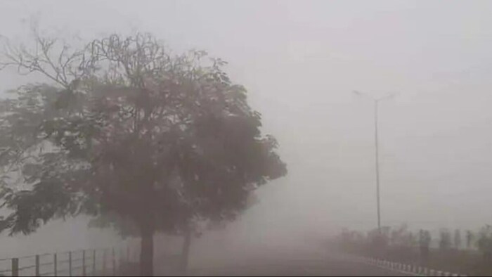 उत्तर भारत में जारी है शीतलहर