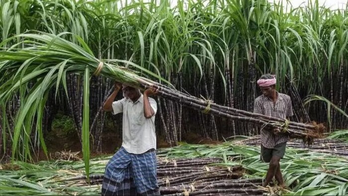 संगरूर में किसानों का बड़ा विरोध प्रदर्शन