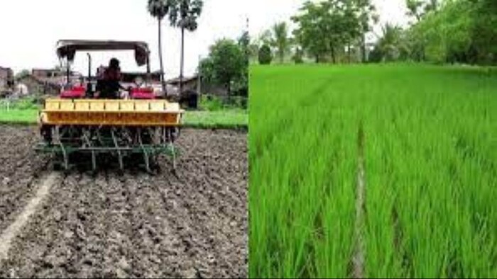 पंजाब के किसानों के खाते में पहुंचे 19 करोड़ रुपये. (सांकेतिक फोटो)