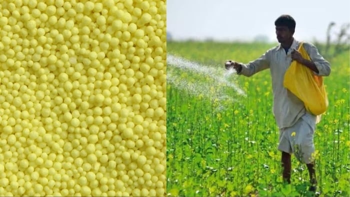 सरकार ने सल्फर कोटेड यूरिया लॉन्च करने को दी मंजूरी,