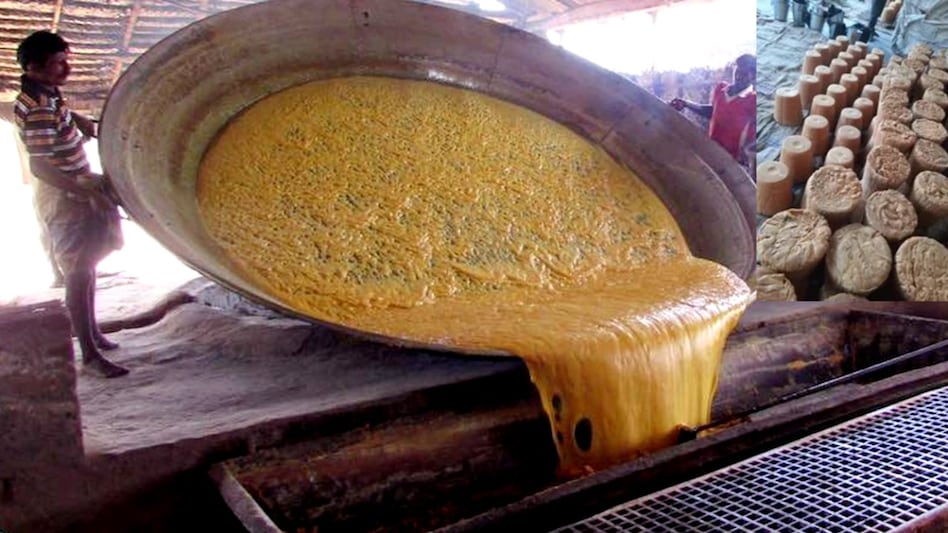 Jaggery business: चीनी से फायदेमंद है गुड़ का कारोबार, बाजार में गन्ना किसानों को मिल रहा है अच्छा मूल्य Jaggery business: चीनी से फायदेमंद है गुड़ का कारोबार, बाजार में गन्ना किसानों को मिल रहा है अच्छा मूल्य