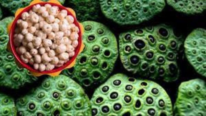 बिहार में प्रोसेसिंग यूनिट खोलने पर किसानों को मिलेगी सब्सिडी. (सांकेतिक फोटो)