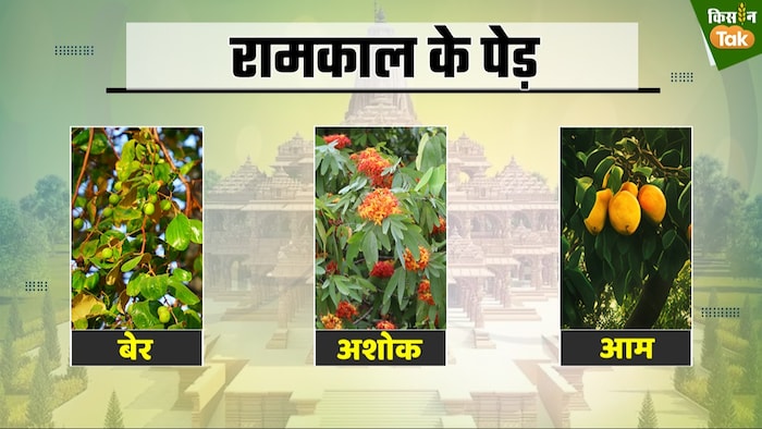 भगवान राम के समय पेड़-पौधों का महत्व