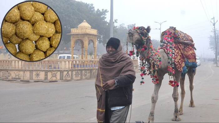 मवेशियों के लिए बनाए जा रहे देसी घी के लड्डू