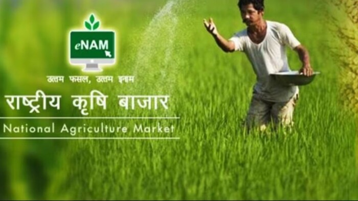 ई-एनएएम पर कैसे बेचें फसल. (सांकेतिक फोटो)