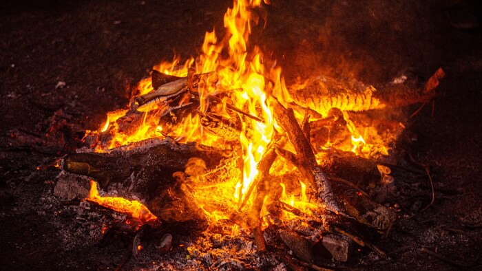 लोहड़ी में क्यों जलाई जाती है आग?