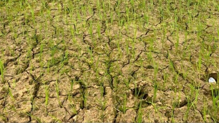 decline in rain and snowfall