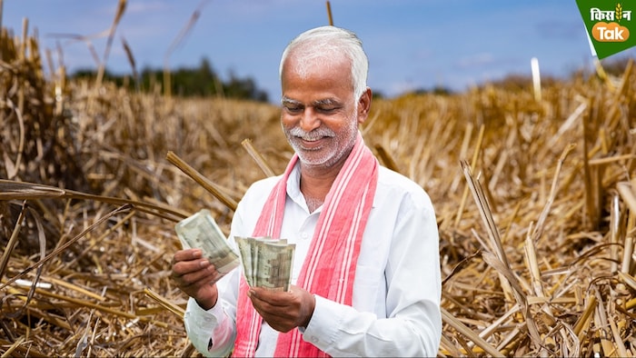 फरवरी में पॉपुलर के पौधे लगाए जा सकते हैं.