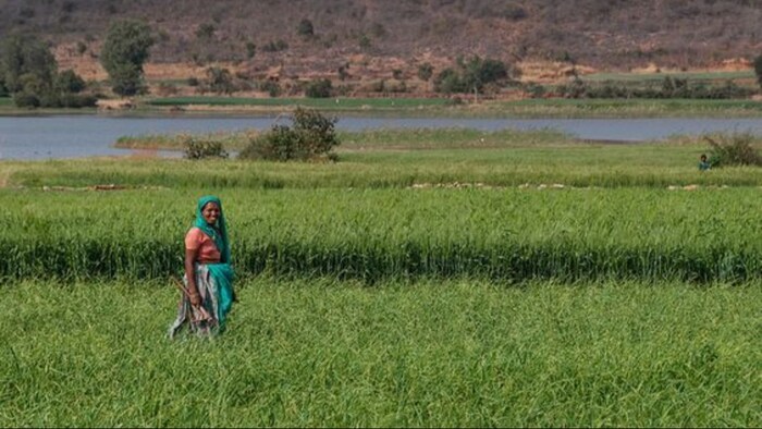 पीएम किसान योजना से महिला किसानों को मिल सकती है सौगात