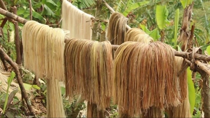केले के रेशे से बनाए जाते हैं ये उत्पाद