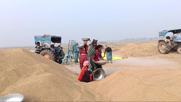 बिहार में धान खरीदी की रफ्तार धीमी, किसान प्राइवेट में धान बेचने को मजबूर