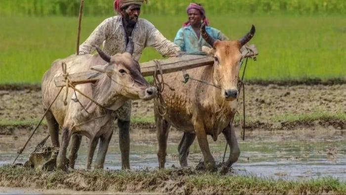 उत्तराखंड में किसानों को आसानी से मिलेगा लोन. (सांकेतिक फोटो)