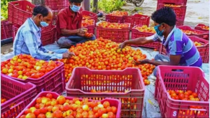 फल रखने के प्लास्टिक कैरैट पर बंपर सब्सिडी दे रही सरकार