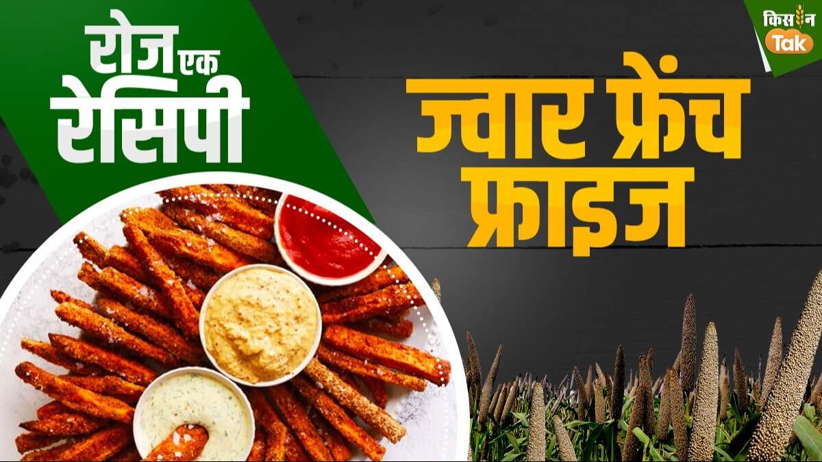 Millet Recipes: ऐसे बनाएं ज्वार की फ्रेंच फ्राइज, कुछ मिनटों में तैयार हो जाएगी ये खास डिश
