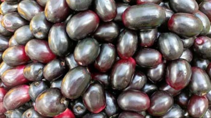 जामुन खाने के फायदे