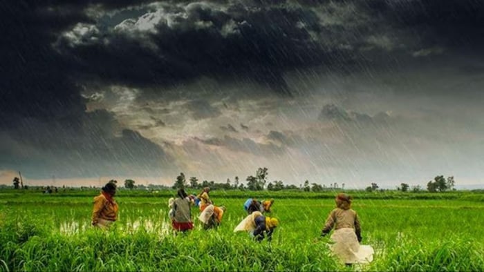 इस साल अच्छी हो सकती है बारिश. (सांकेतिक फोटो)