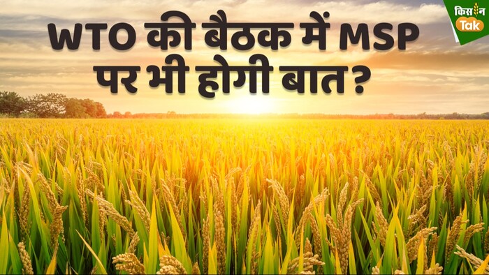 WTO की बैठक में भारत सार्वजनिक अनाज भंडारण का मुद्दा पहले सुलझाएगा