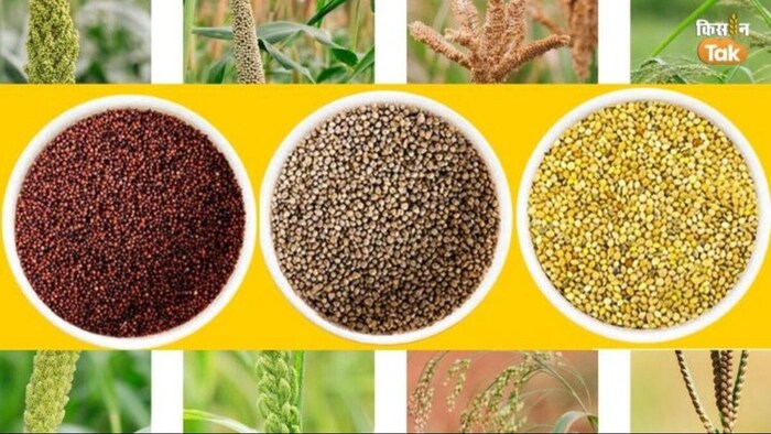 मिलेट्स का सबसे बड़ा उत्पादक देश कौन सा है?