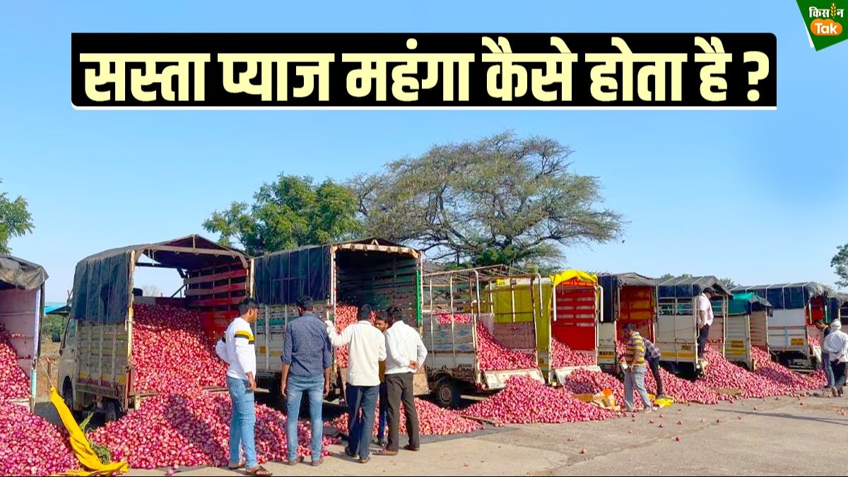 किसान-कंज्यूमर दोनों का इसलिए हो रहा नुकसान.