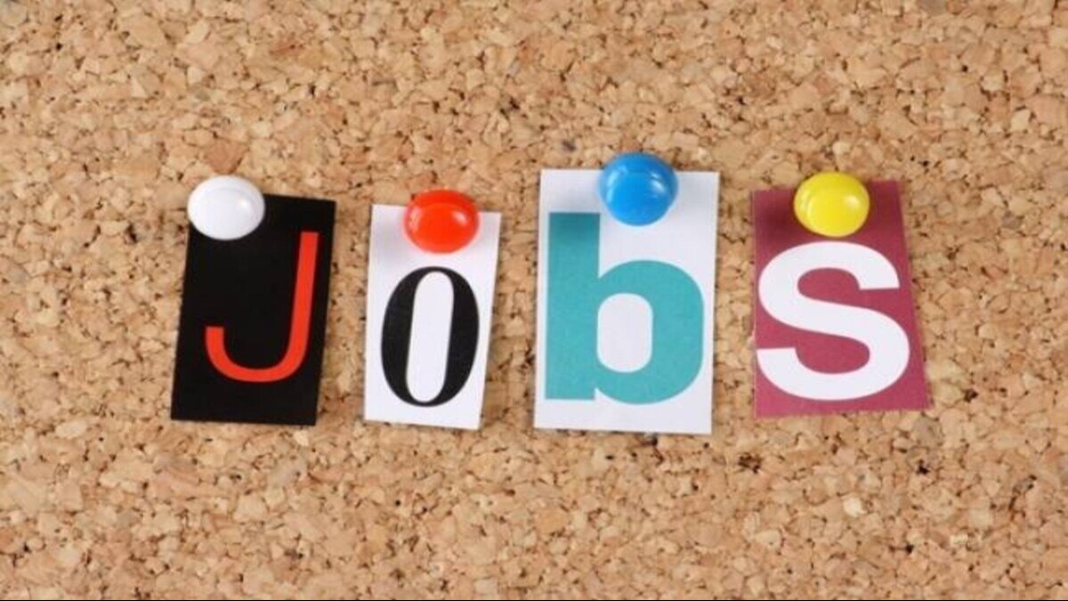 2024 बंपर नौकरियों वाला साल रहेगा, नौकरी खोजने वालों का प्रॉडक्टिविटी और ग्रोथ पर फोकस 