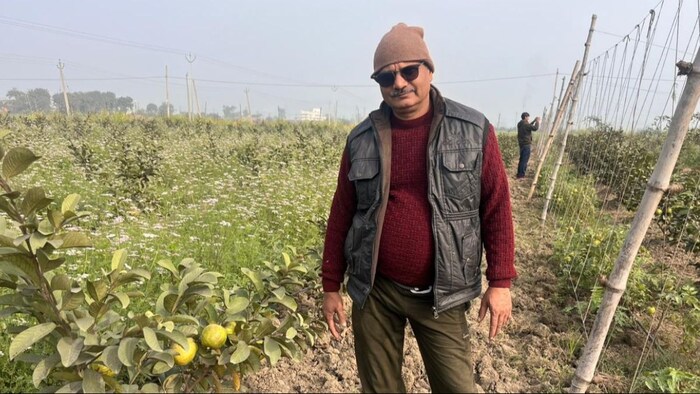 खेती में तकनीक की मदद से कैमूर के किसान ने किया कमाल, डेढ़ एकड़ में तीन लाख की कमाई