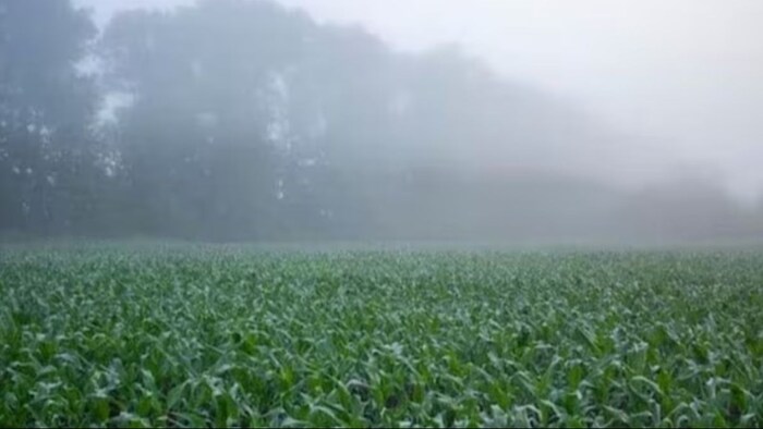 किसानों के लिए जारी एडवाइजरी