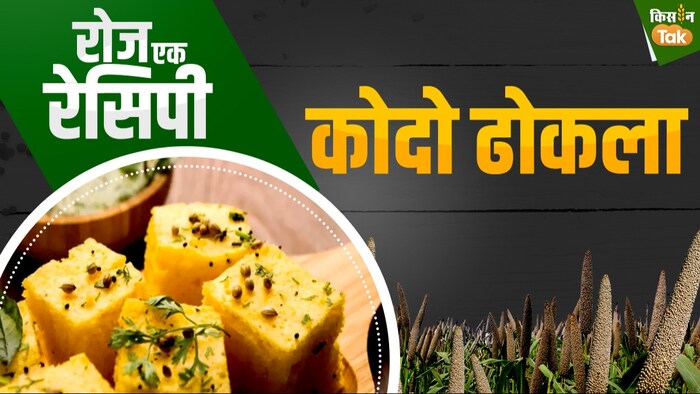 कोदो ढोकला रेसिपी