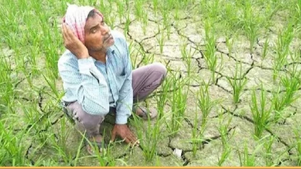 दिल्ली में छह महीने से बारिश के इंतजार में किसान, रबी फसलों के मारे जाने का बढ़ा खतरा