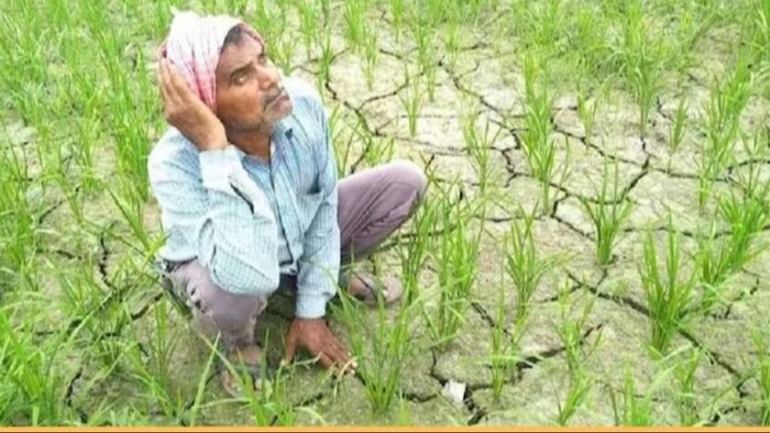 बारिश नहीं होने से सूखे जैसी स्थिति बन जाएगी