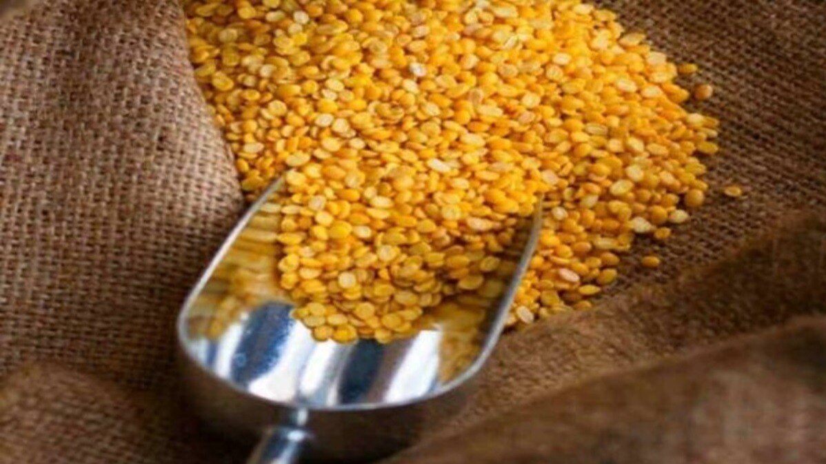 Tur Import: ट्रेड फर्मों के बीच तनाव से तूर आयात बाधित, कुछ हफ्तों में ही दाल की कीमत में उछाल आया  