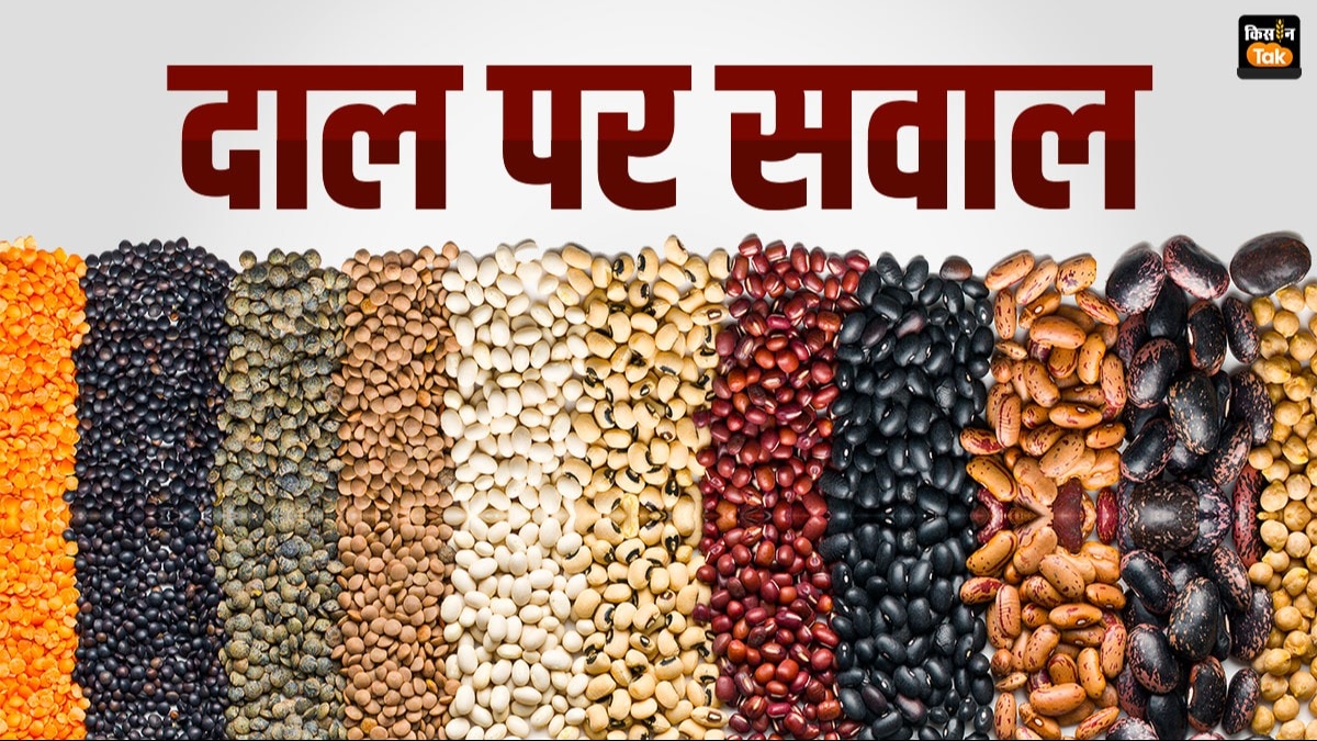 दालों के क्षेत्र में आत्मनिर्भरता बढ़ाने पर सरकार का जोर