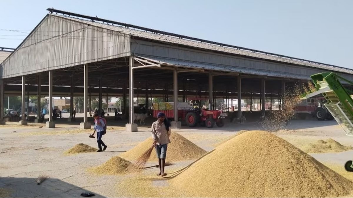 Paddy Procurement: धान बेचने के लिए 31 जनवरी तक रजिस्ट्रेशन करवा सकते हैं किसान, इन कागजातों की होगी जरूरत