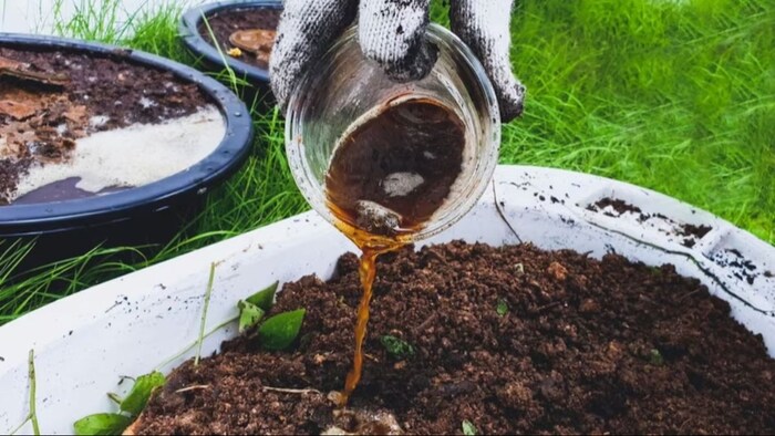 बचत के साथ फसलों की बढ़ाएं पैदावार