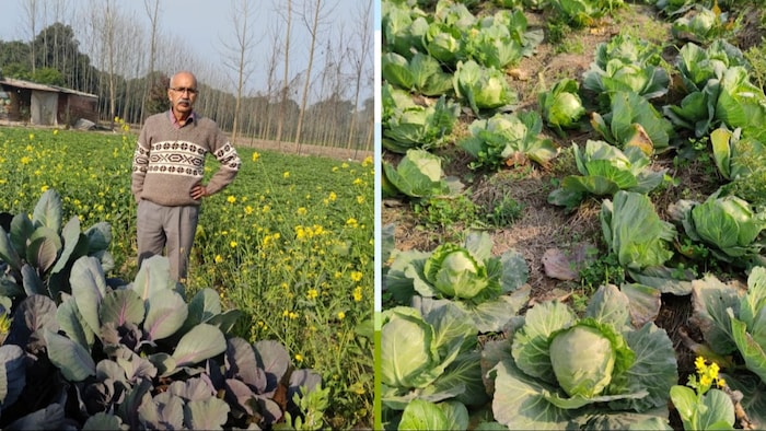 सहारनपुर के मेरवानी में रहने वाले बुजुर्ग किसान आदित्य त्यागी (Photo-Kisan Tak)