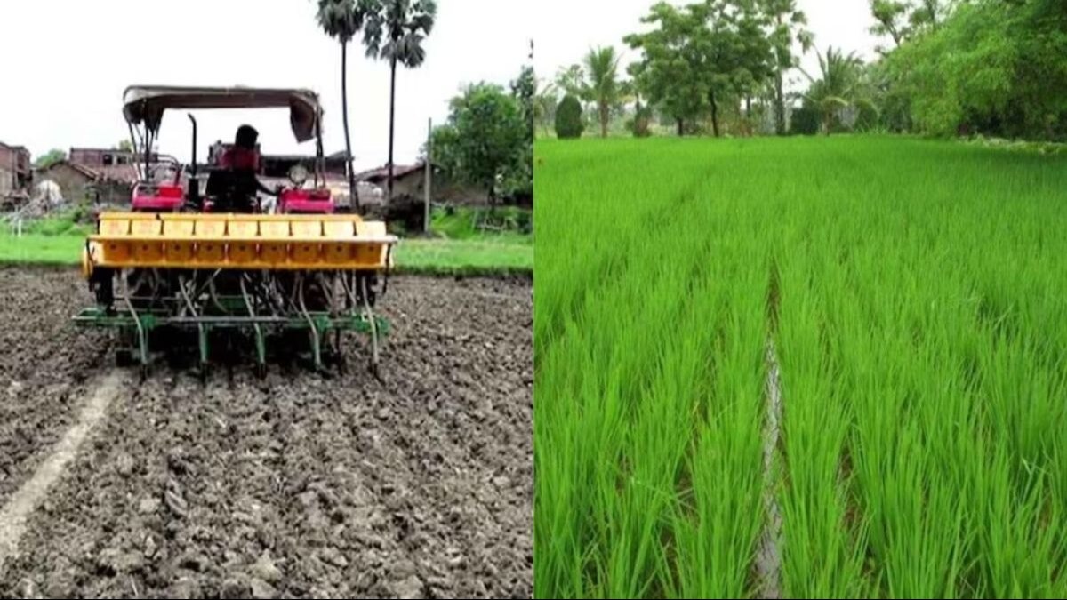 हरियाणा में 1000 से अधिक किसानों के आवेदन निकले फर्जी, सरकार को लगने वाला था करोड़ों का चूना, जानें पूरा मामला