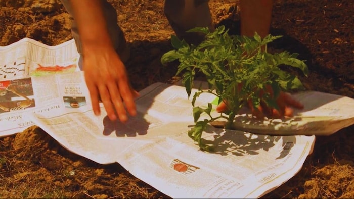 क्या आप भी वेस्ट समझ के फेंक या बेच देते हैं अखबार