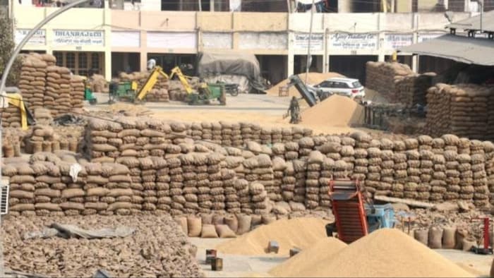 कैसे करें मंडी भाव चेक?