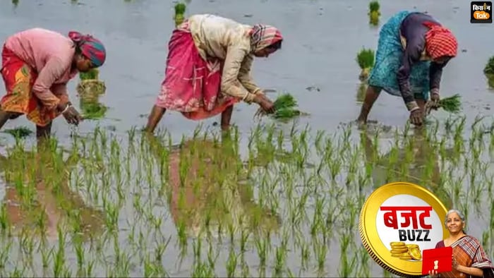 इस बजट में किसानों के लिए कई बड़ी घोषणाएं होने की उम्मीद